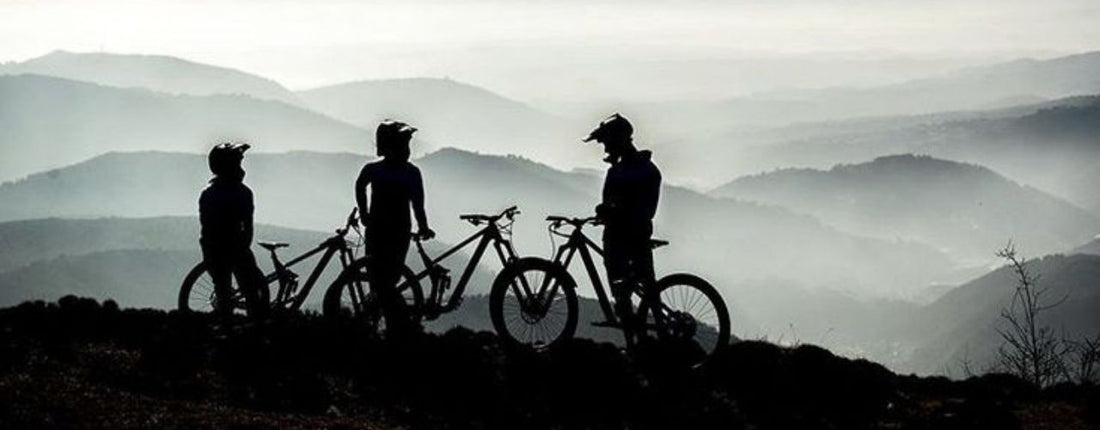 MTB Suspensión bicicleta Horquilla shock casco ciclismo de montaña taller de bicicletas BUHO